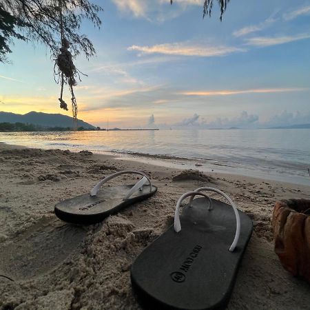 Phangan Dream Box Hotell Baan Tai Eksteriør bilde