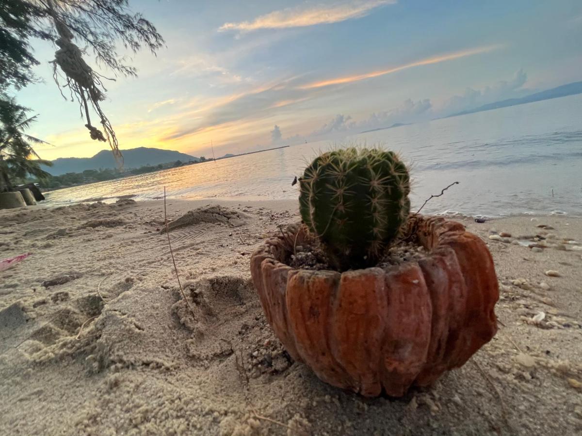 Phangan Dream Box Hotell Baan Tai Eksteriør bilde