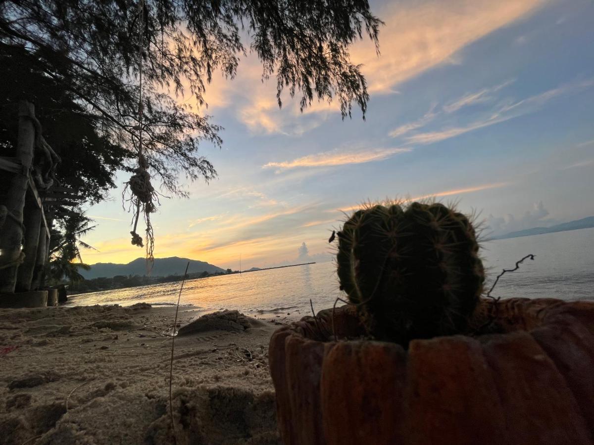 Phangan Dream Box Hotell Baan Tai Eksteriør bilde