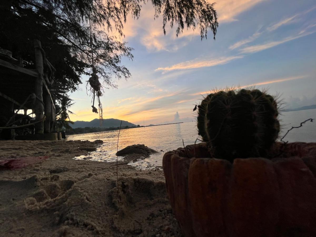 Phangan Dream Box Hotell Baan Tai Eksteriør bilde